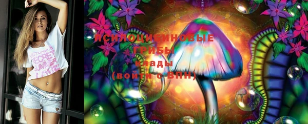 ECSTASY Кукмор